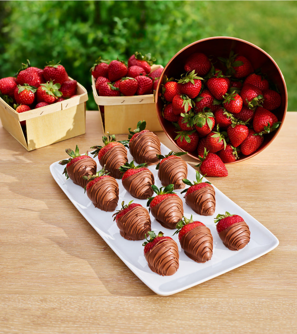 Dipped Chocolate Strawberries, 25Pc | Godiva UAE – Godiva